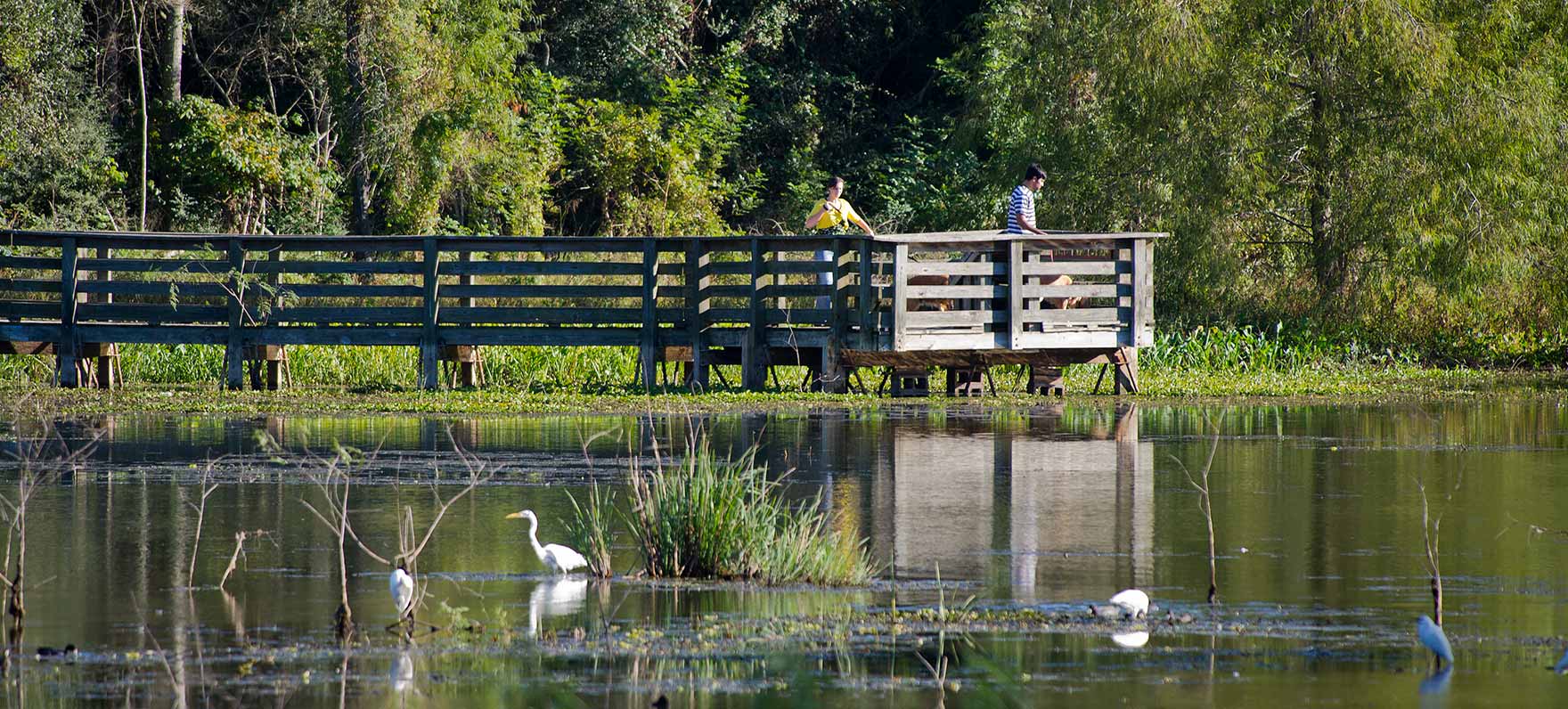 Brazos <span>Bend State Park</span>