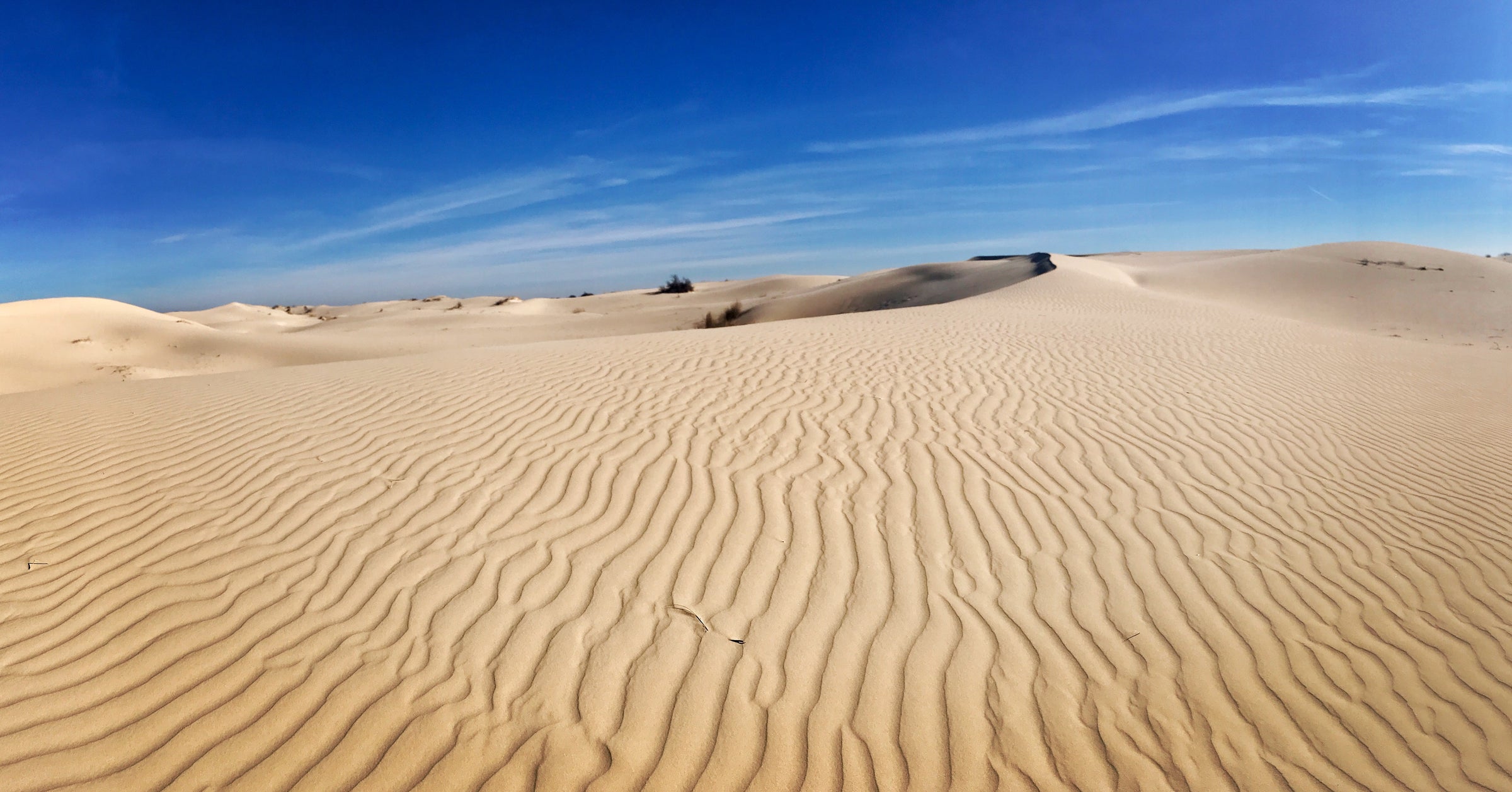 Monahans <span>State Park</span>