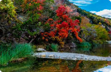 Lost Maples <span>State Park</span>