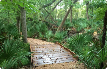 Palmetto <span>State Park</span>