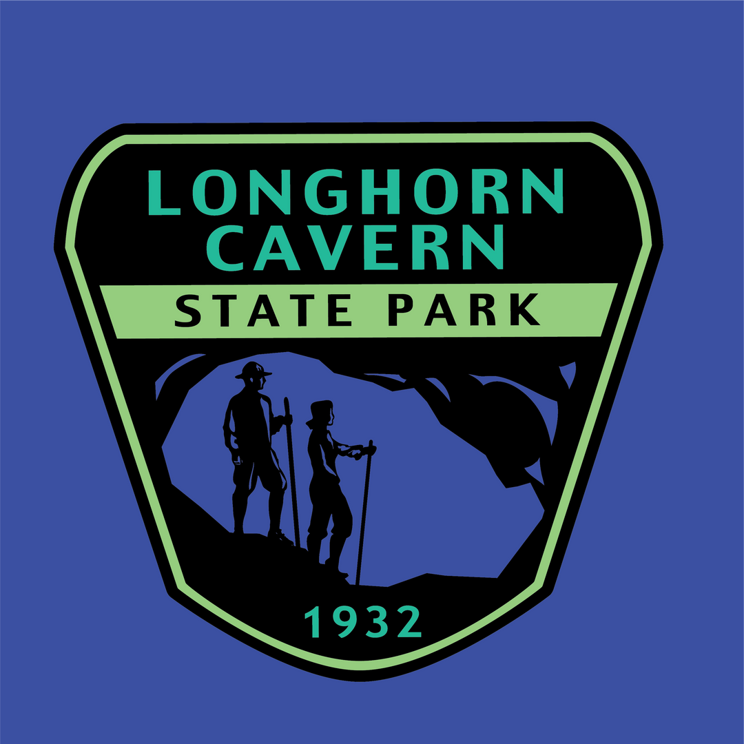 Multi-color LCSP Logo